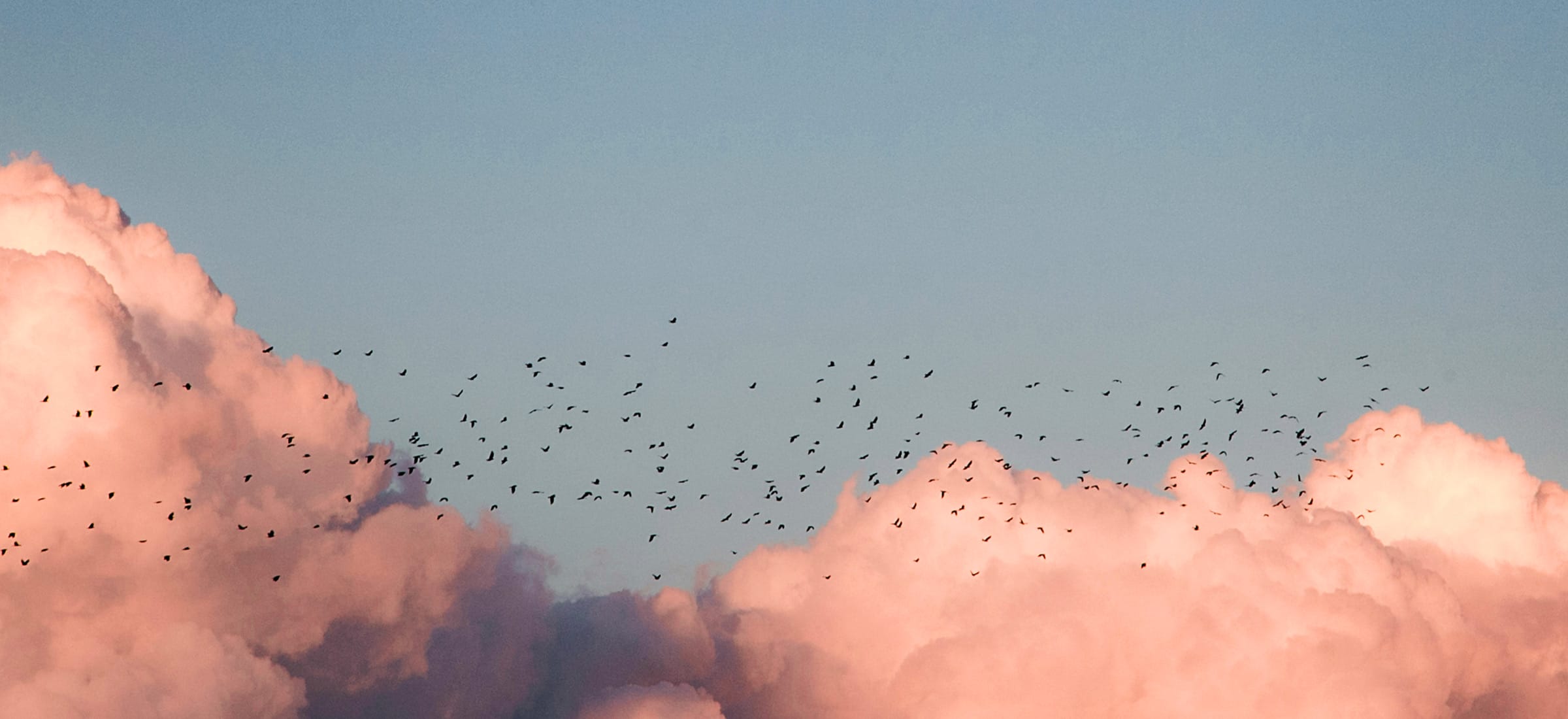 Moving to the Cloud: How to Map Out a Successful Cloud Migration Strategy for Your Application